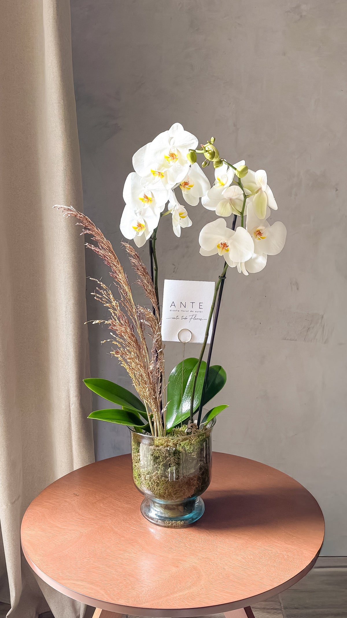 Orquídea phalaenopsis blanca de dos varas en copa de vidrio con musgo y pasto seco, entrega a domicilio CDMX